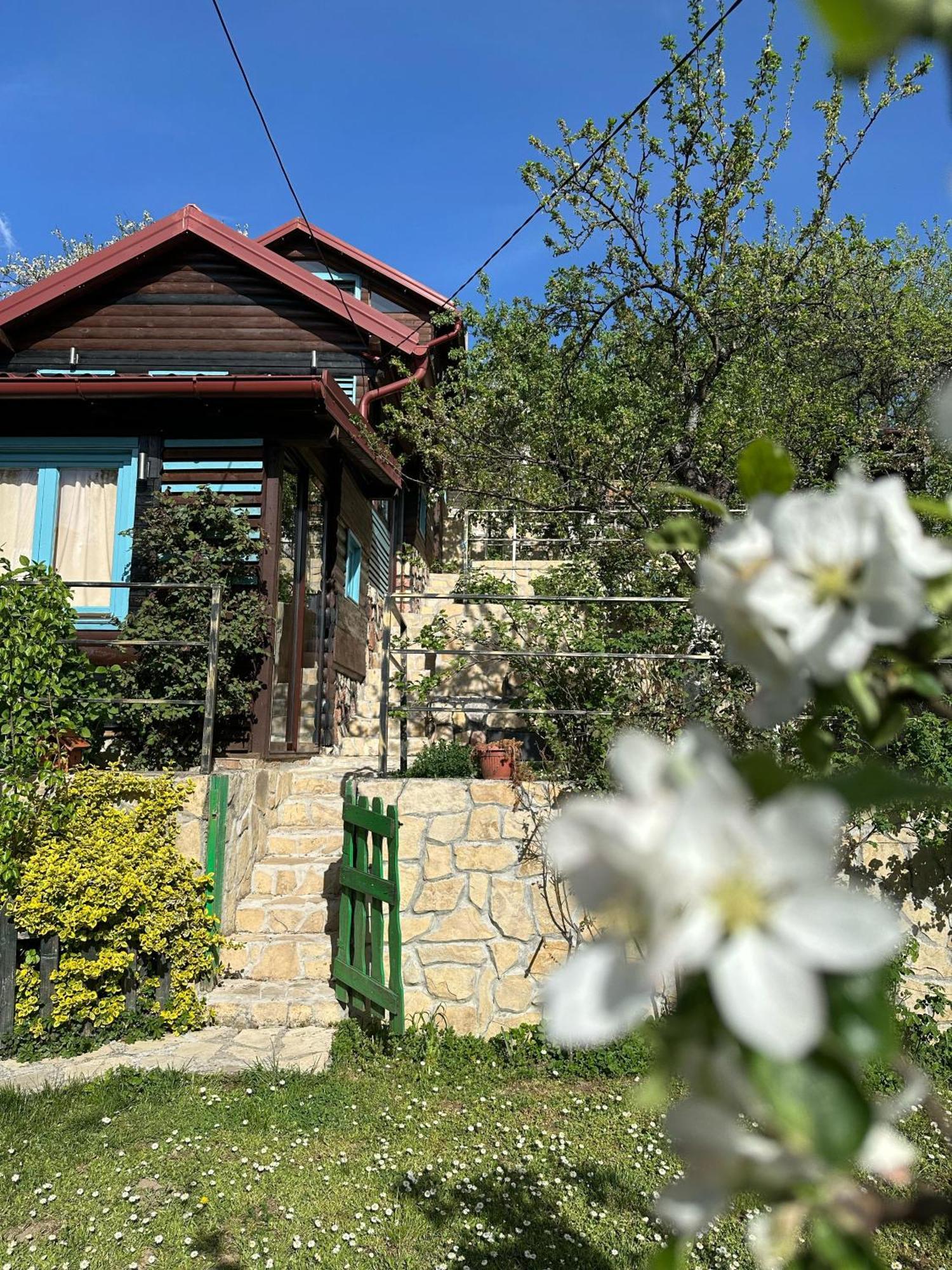 The Bungalows سراييفو المظهر الخارجي الصورة